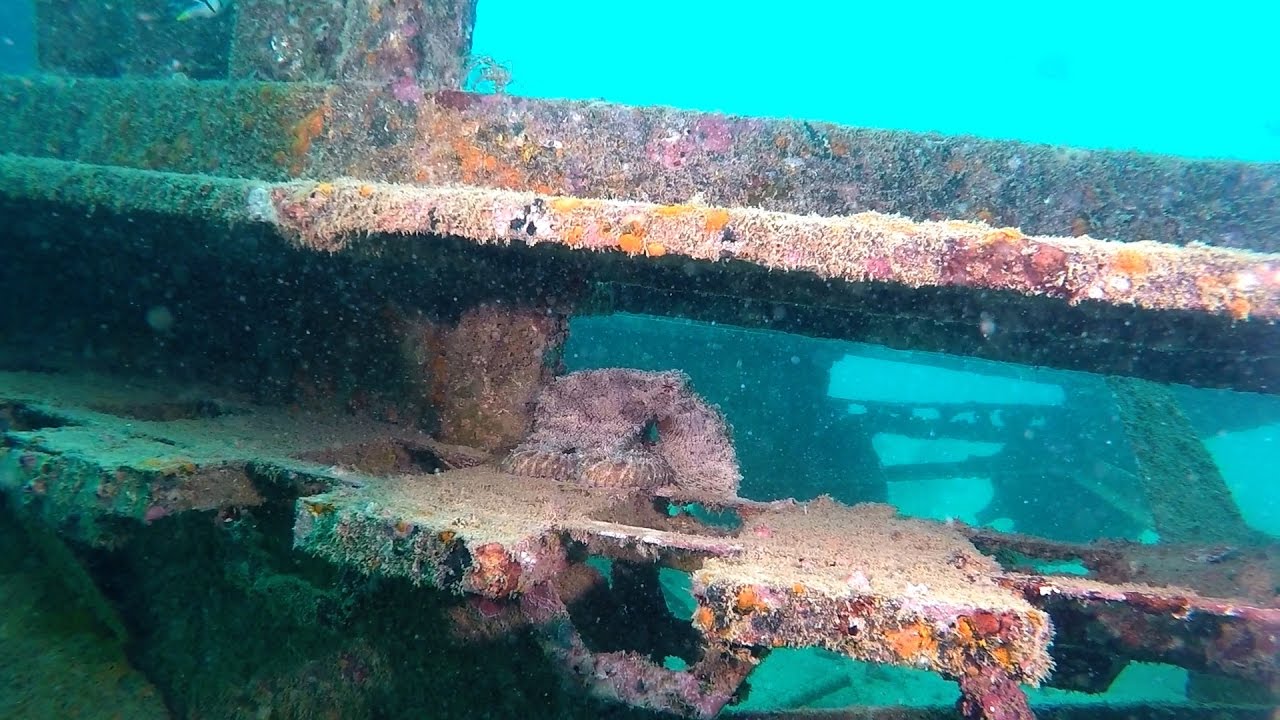Diving Lumba Lumba House reef 2017 Pulau Weh