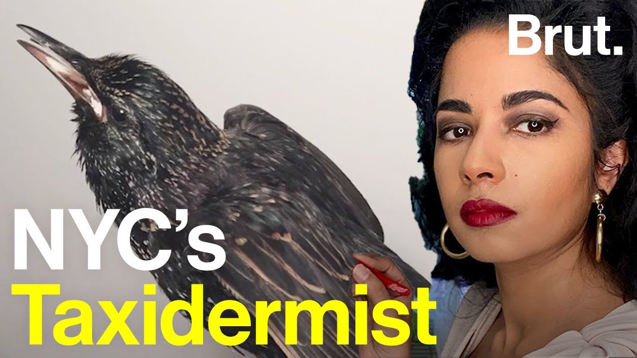She Brings Dead Animals to Life – with Taxidermy