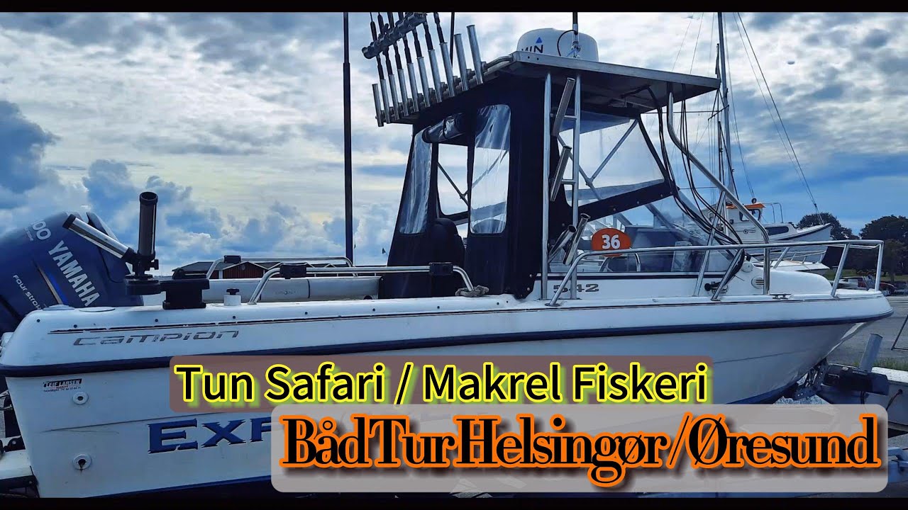 Fiskeeventyr i Helsingør: Makrell og Majestætiske Tun - En Dag på Øresund