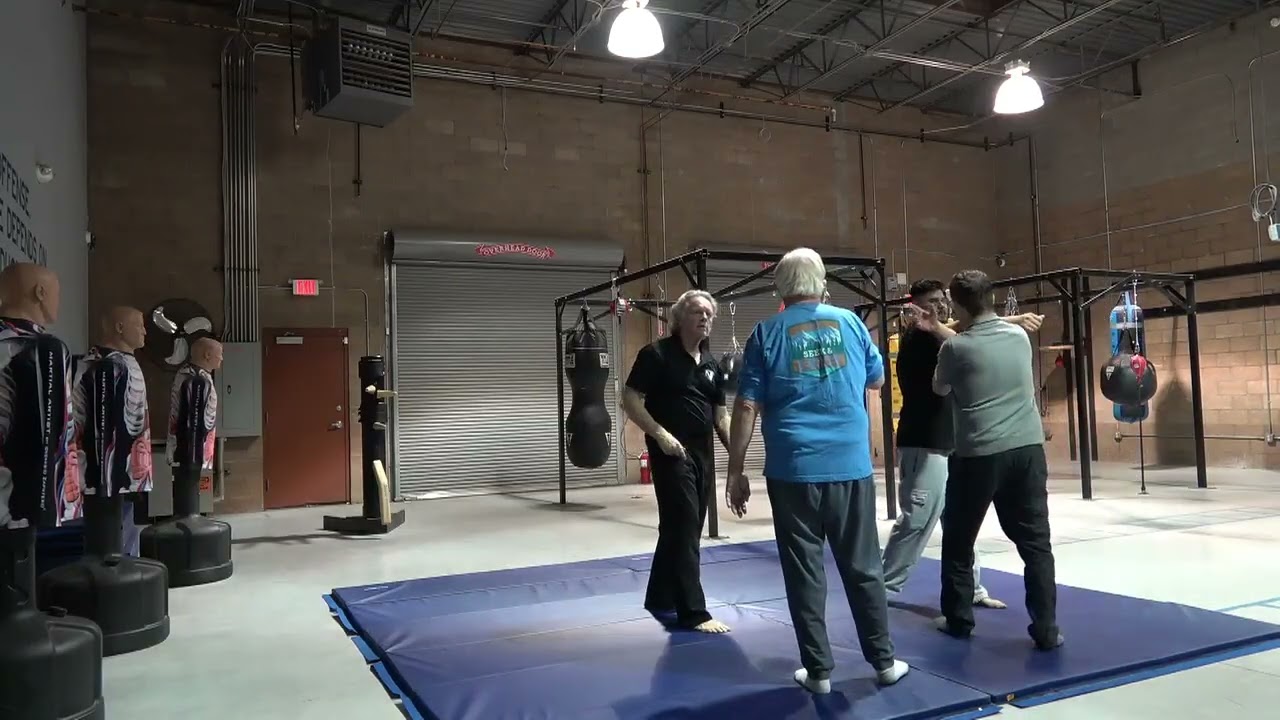 VFA Strike to Arm bar takedown