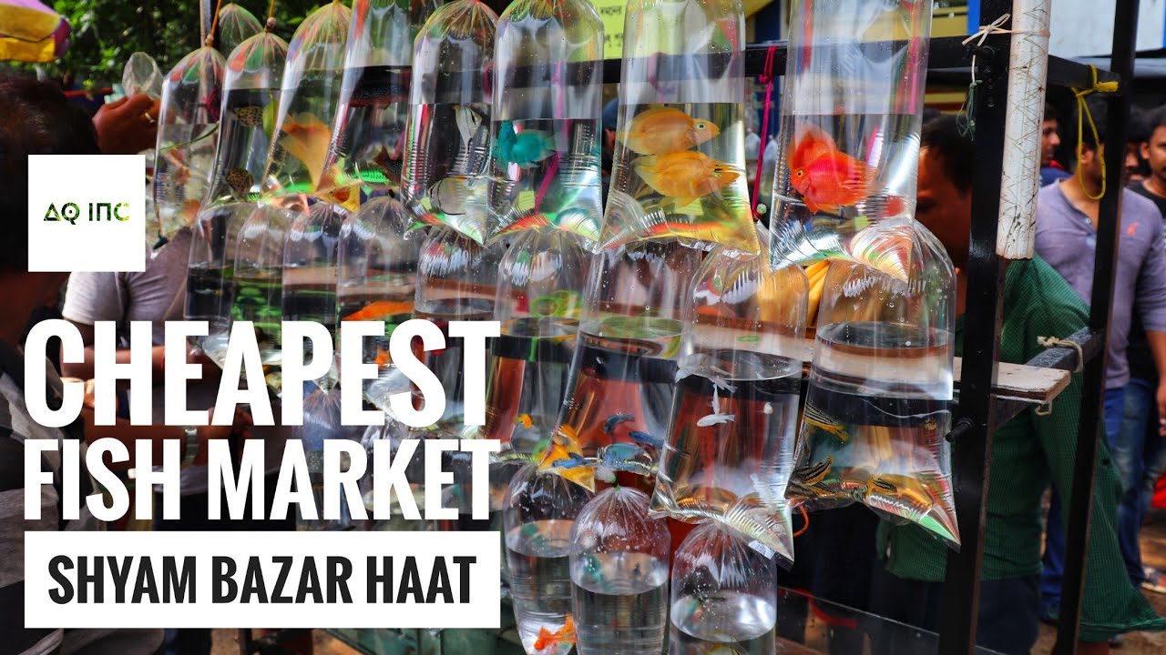 World&rsquo;s Cheapest Fish Market