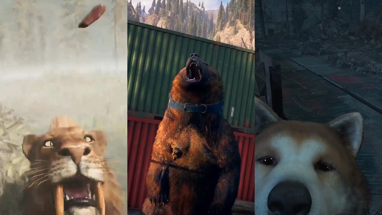 Far cry saga : Good boy !