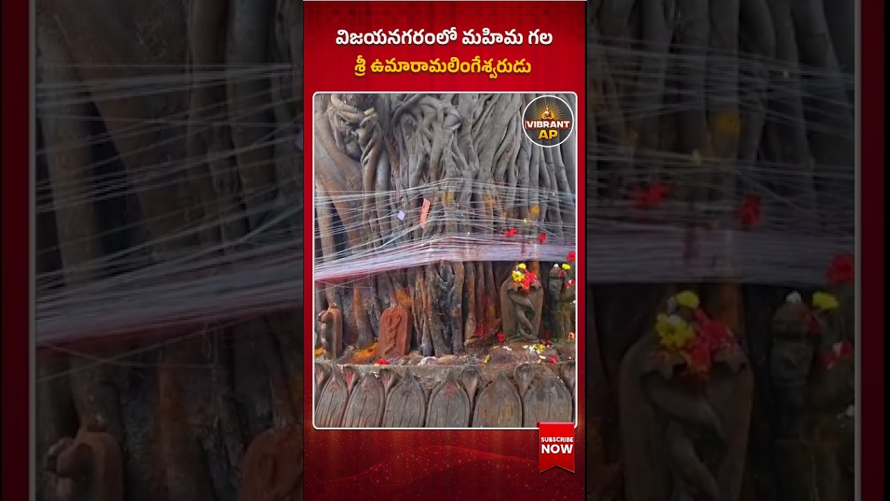 The Mystery of Yerrannaidu Statue: Divine Secrets of Uma Ramalingeswara Temple, Vizianagaram