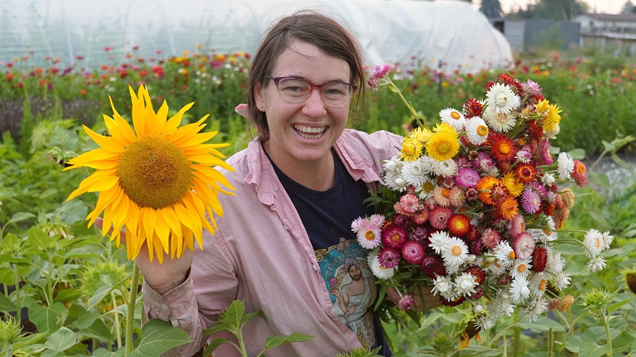 Flowerfarm Sunflower Haul | Sunflower Selections Unboxing