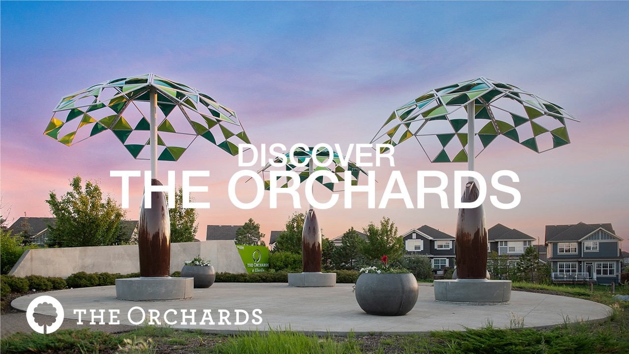 The Orchards | Юго-восточный Эдмонтон | Процветающее сообщество