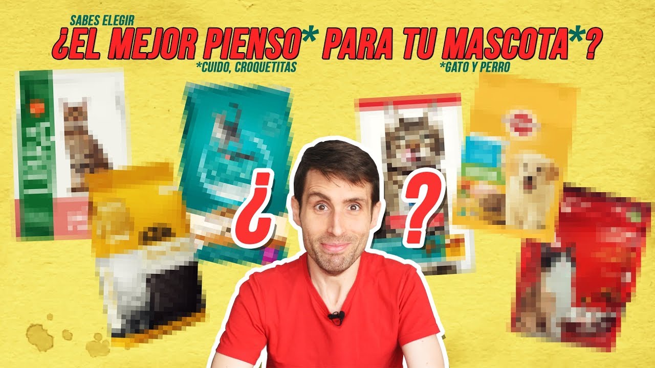 ¿Cuál es el MEJOR ALIMENTO para tu gato 🐱 o tu perro 🐶? | ¡La etiqueta de tu PIENSO te engaña!