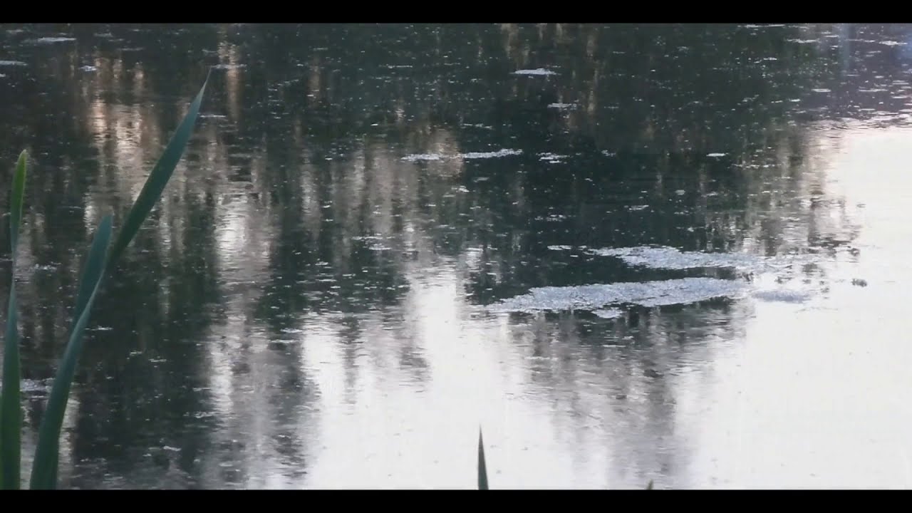 Водополье - Храны свѧтынь (официальное видео 2018)