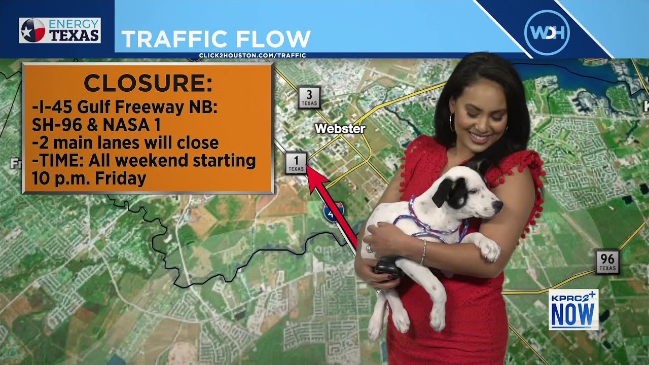 ADORABLE! KPRC 2's Anavid Reyes does traffic update with puppy!