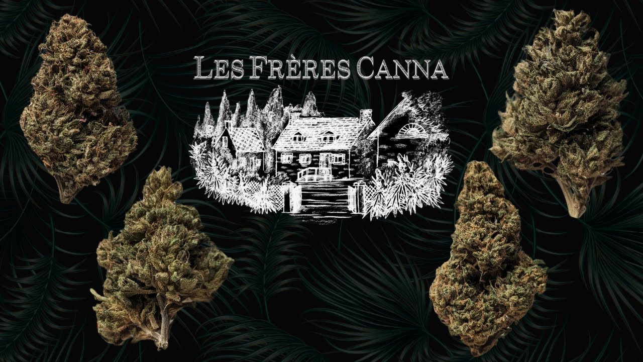 UNBOXING LES FR&Egrave;RES CANNA | NOUVELLES VARI&Eacute;T&Eacute;S