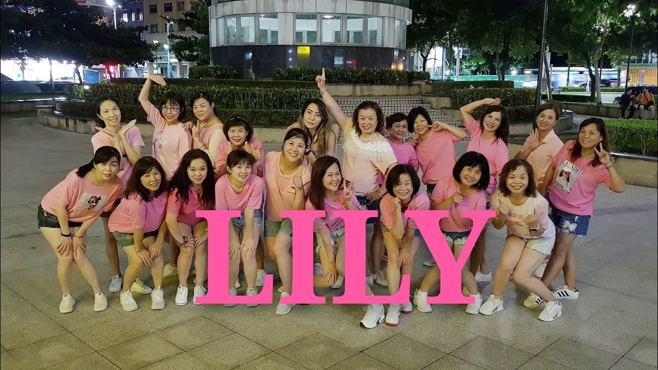 Lily (by Alan Walker, K-391 & Emelie Hollow) ~ HAPPY DANCE