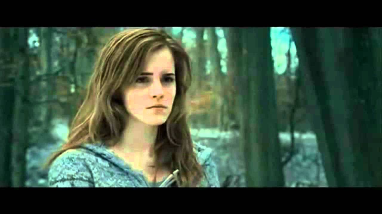Harry and Hermione What Makes You Beautiful
