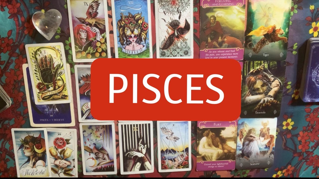 PISCES BUTTERFLIES of LOVE • Mid-November Tarot Reading