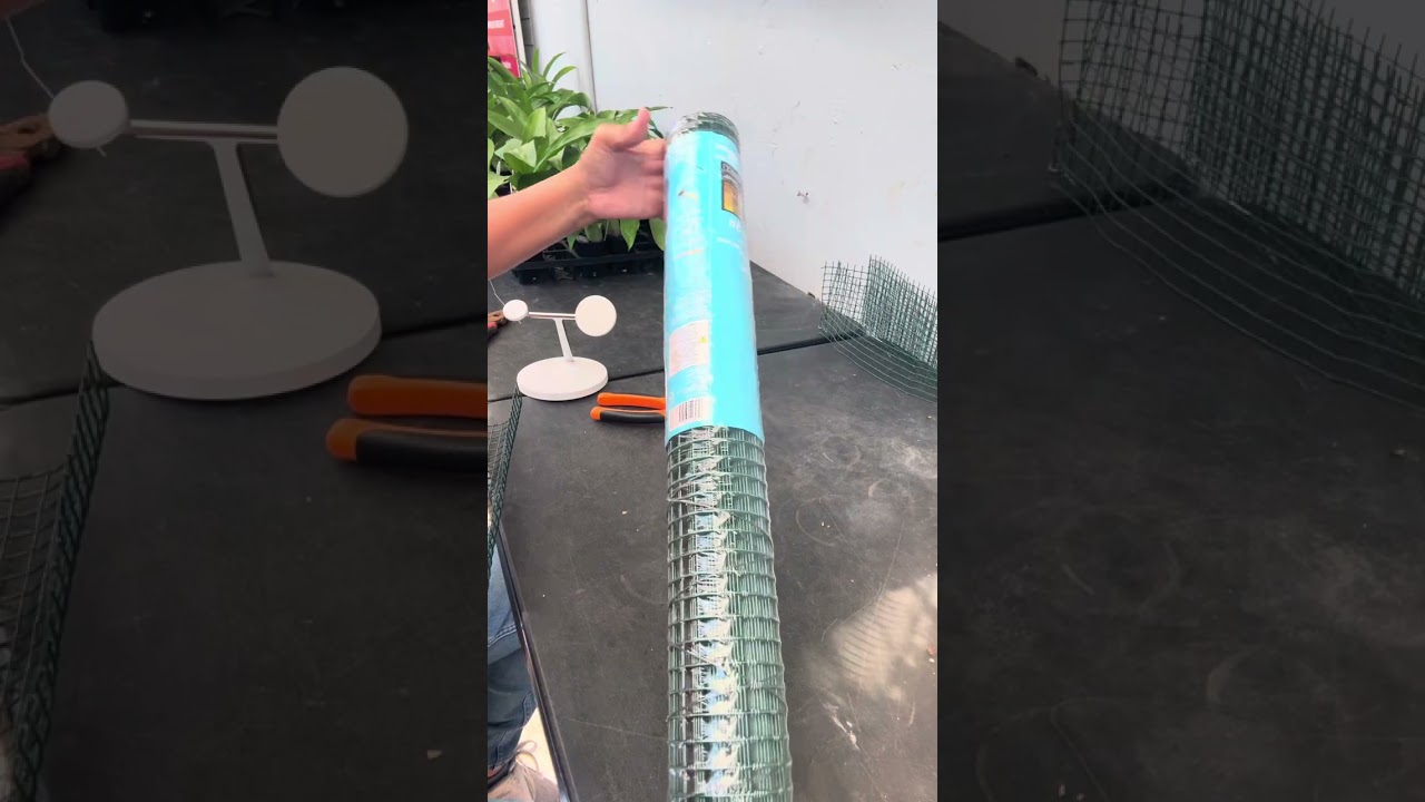 Cómo hacer un cilindro de malla metálica para orquídeas Cattleyas?