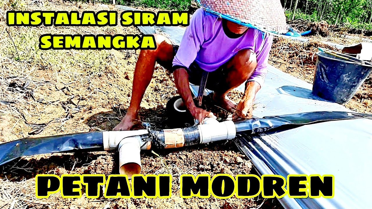 cara instalasi selang penyiram semangka menggunakan air sungai