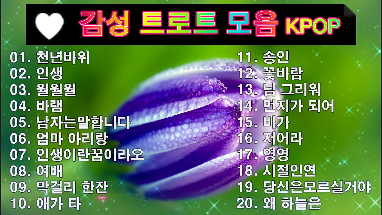 감성 트로트 모음 KPOP (TROT) PLAYLIST 💸 ( 꽃길.상사화.여인의 눈물.회룡포.바람길...) #Kpop
