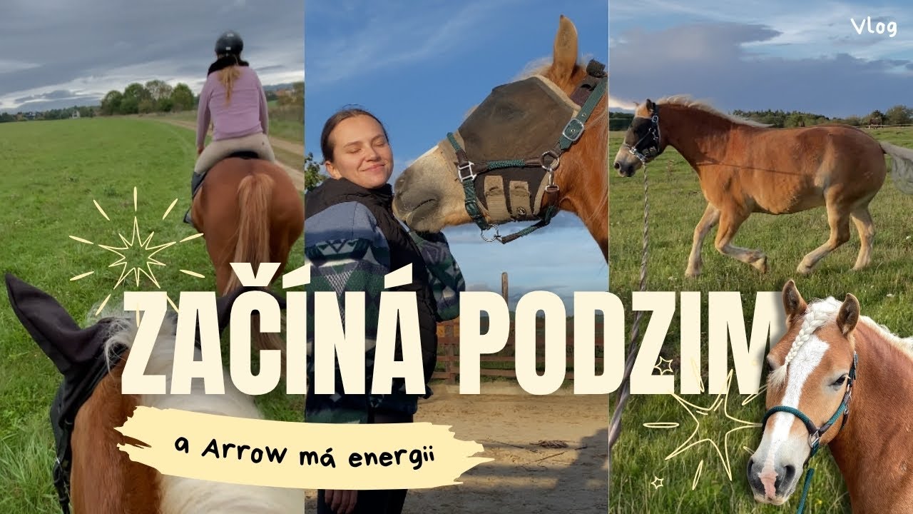 Turbo poník Arrow aneb podzimní energie v akci | VLOG