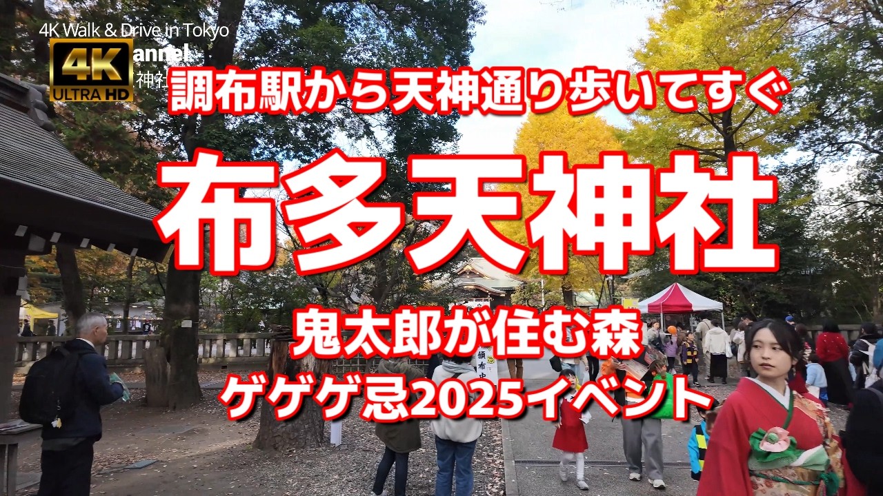 【街ブラ4K】【布多天神社～鬼太郎が住む森！調布駅から天神通り歩いてすぐ】【ゲゲゲの森を歩く】【ゲゲゲ忌2025イベント～調布在住だった水木しげるさんの命日】【７５３と黄葉のいちょう】