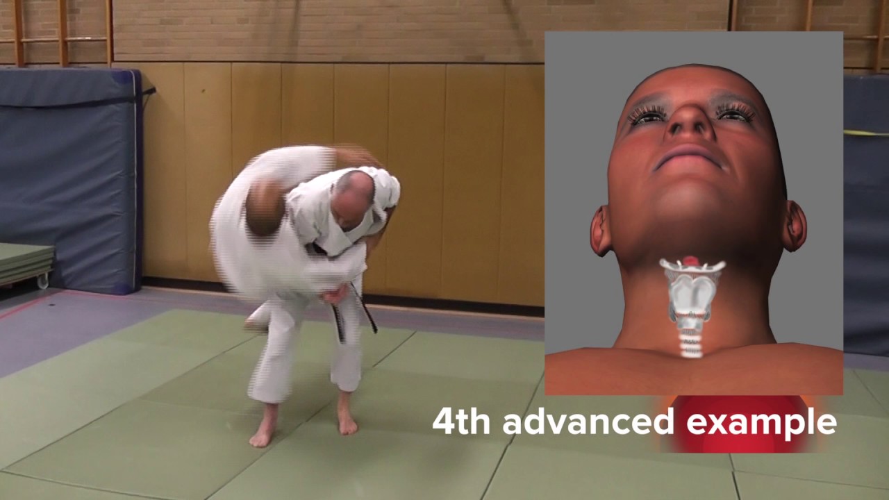 Heian Sandan Bunkai  Trailer
