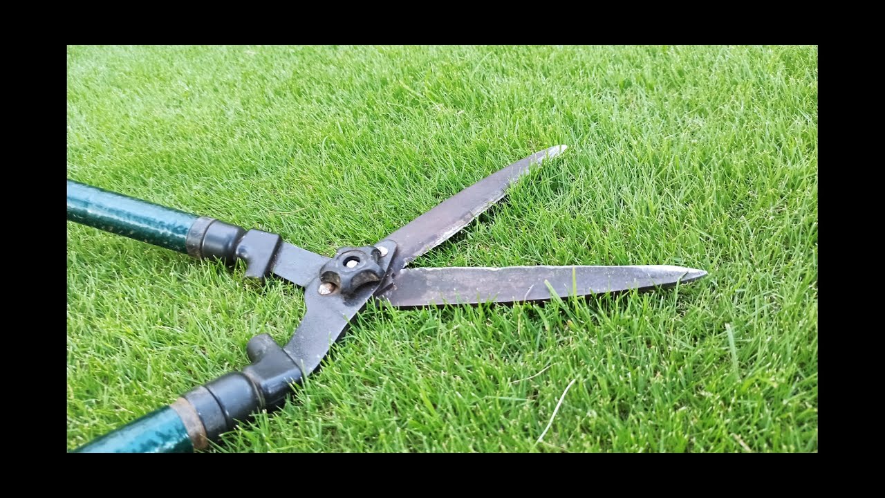 como cortar el cesped con tijeras. ¿se puede cortar el cesped con tijeras? como cortar el pasto