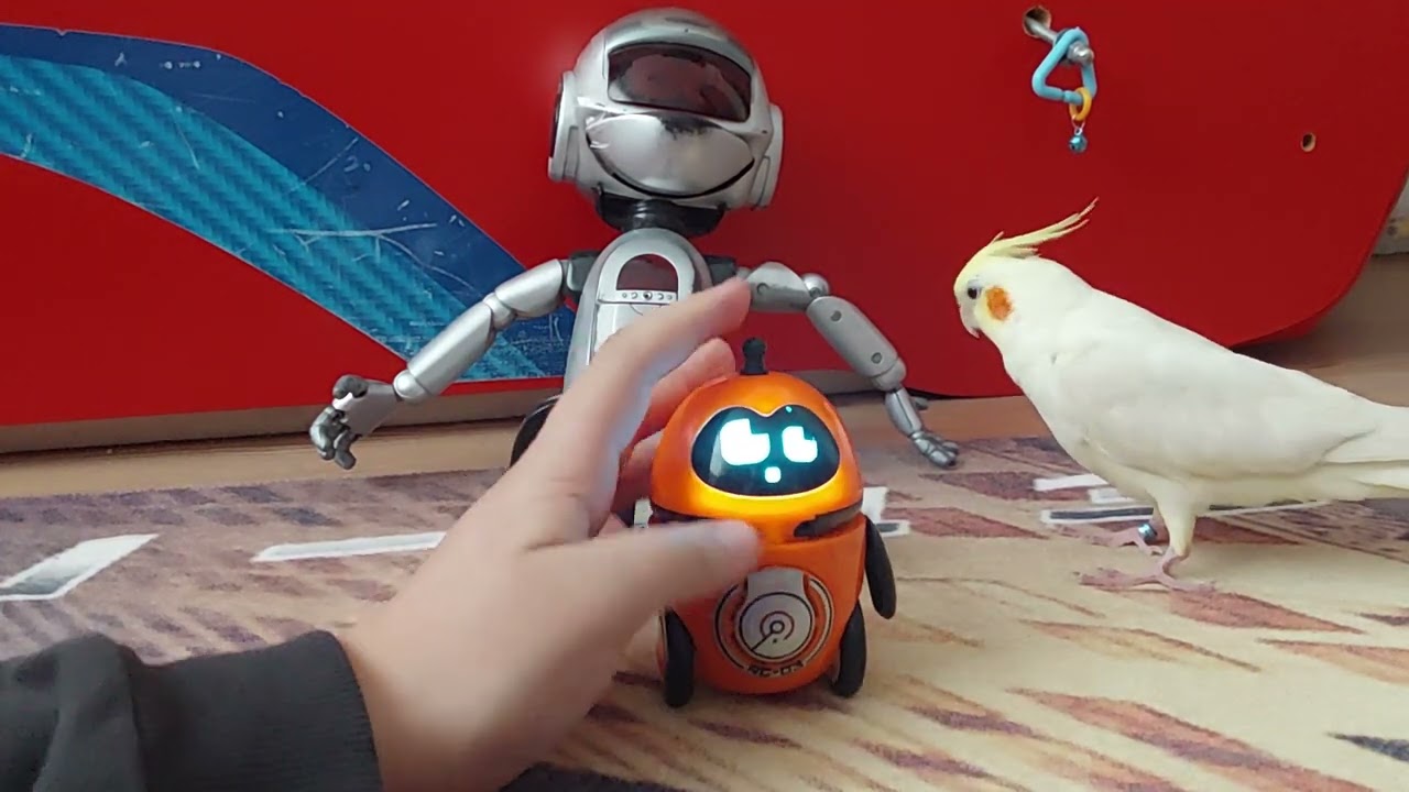Yeni robot tanıtımı arçelik te konumuz oldu