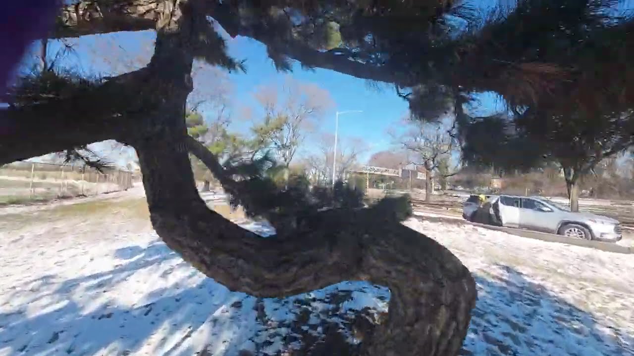 the goat la cabrá 🐐 #fpvfreestyle #jumperrc #jumpert20s #radiomasterzorromax #radiomaster