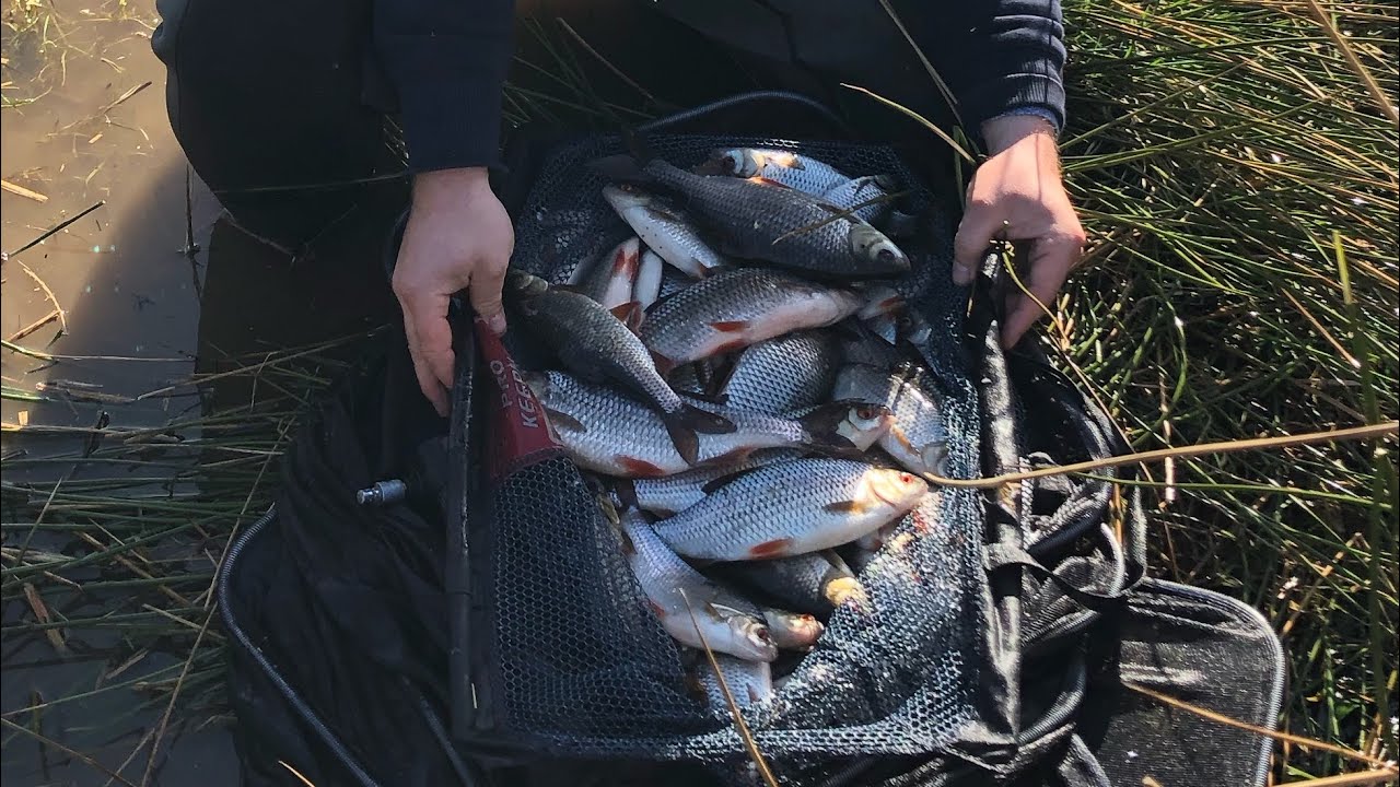 Fishing in Cavan/ Ireland