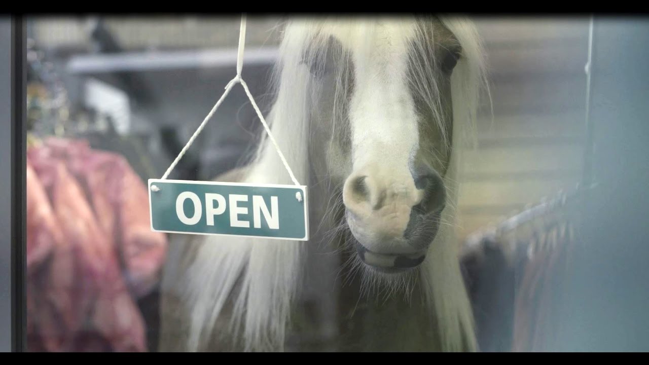 Mole Valley Farmers Not Your Average Store...