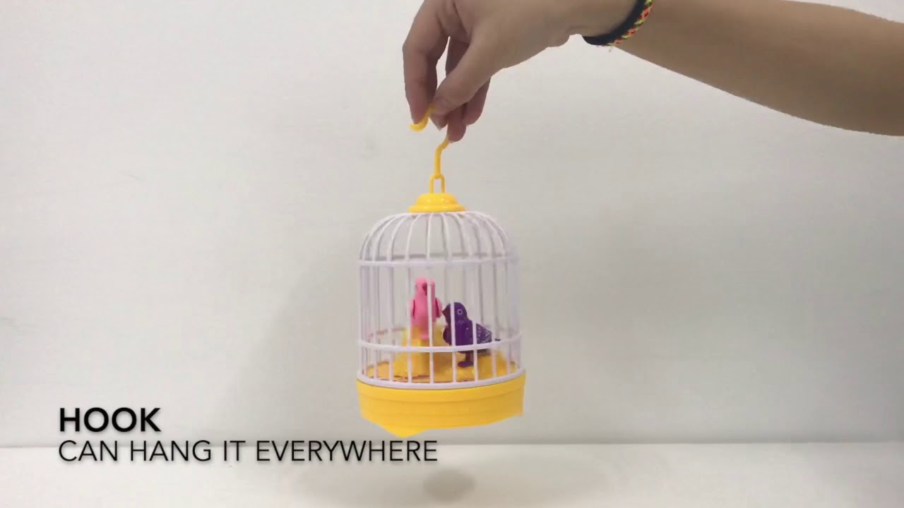 Singing bird cage