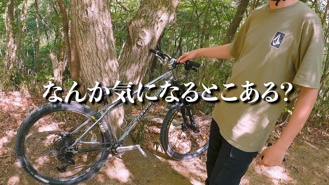 【本音レビュー】クロモリハードテイル TRANSAMの6ヶ月使用レポート！久々にバイクチェックしてみた