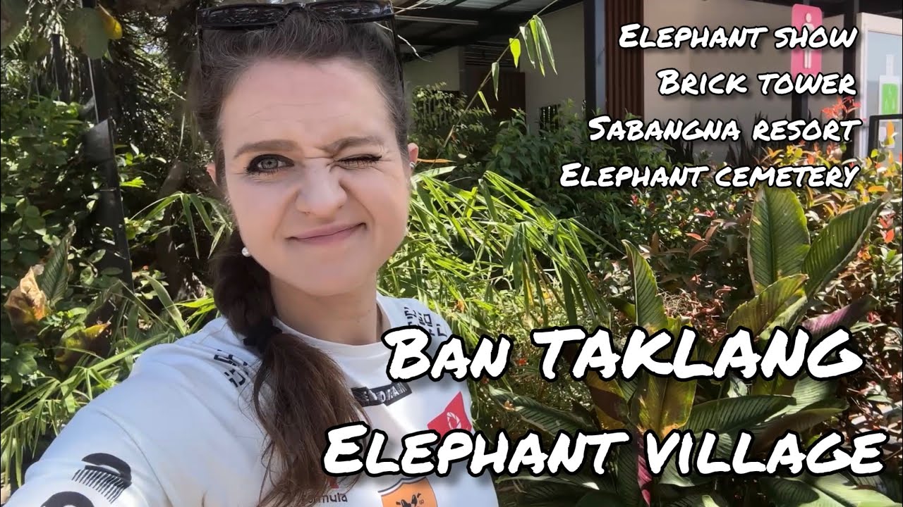 Ban Taklang Elephant Village 2026. Elephant show. A brick tower. Sabangna resort. Elephant cemetery