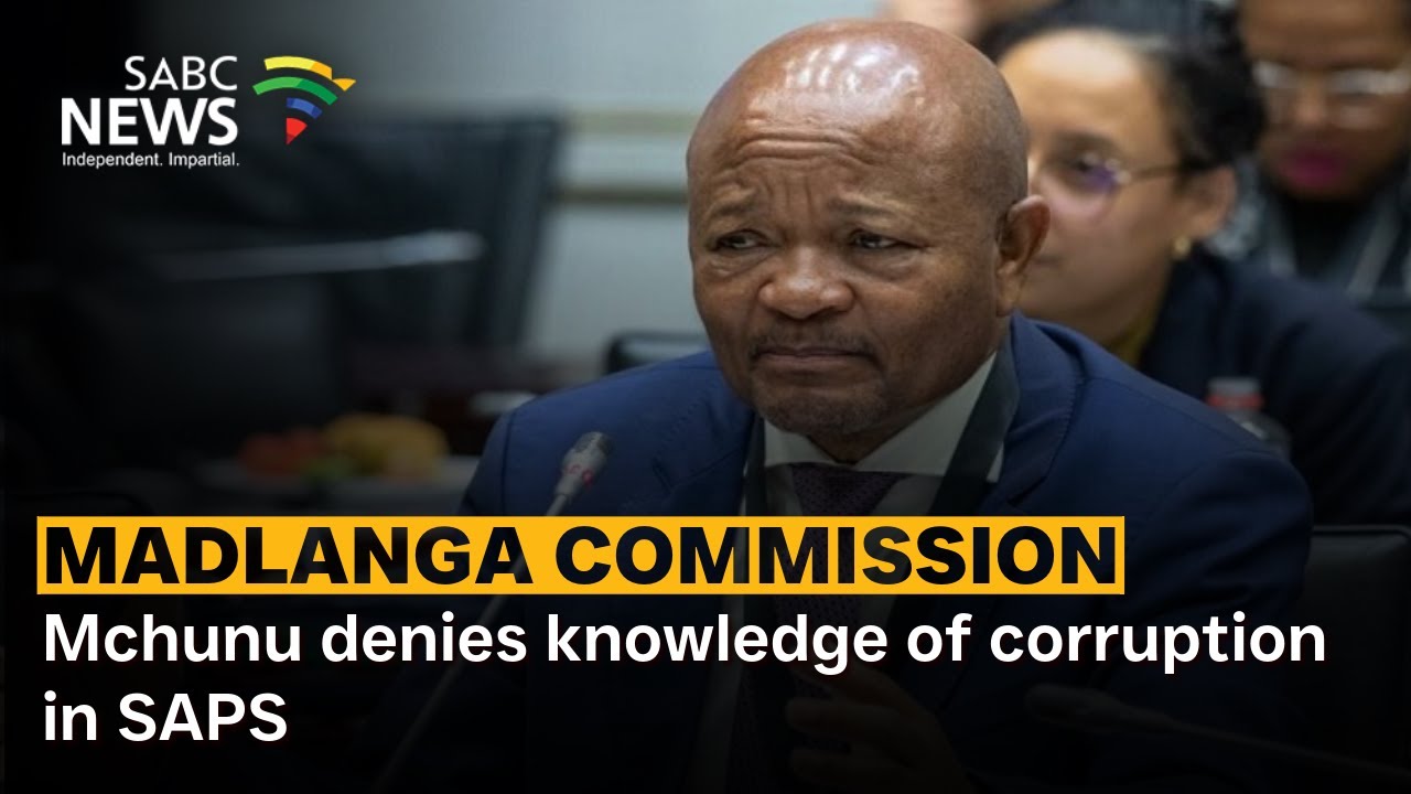 Madlanga Commission | Mchunu denies knowledge of corruption in SAPS