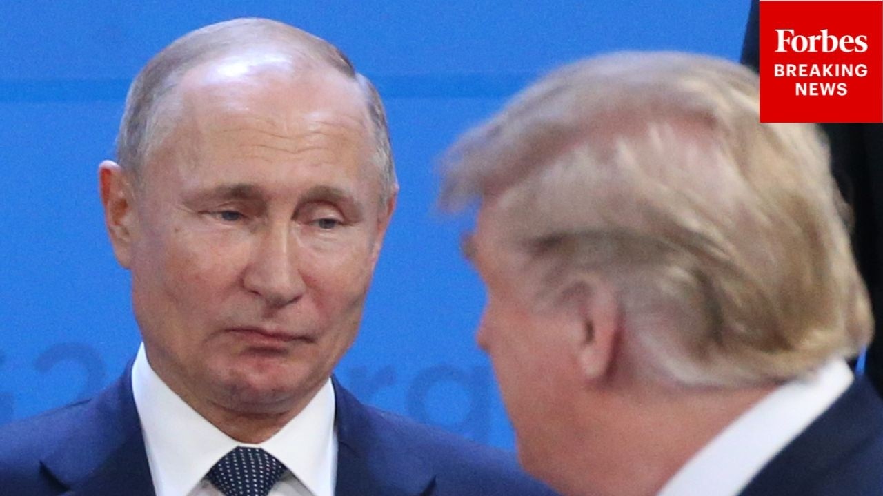 'Trump Is Finally Seeing Through Putin's Lies': Geopolitics Expert Breaks Down Ukraine Talks