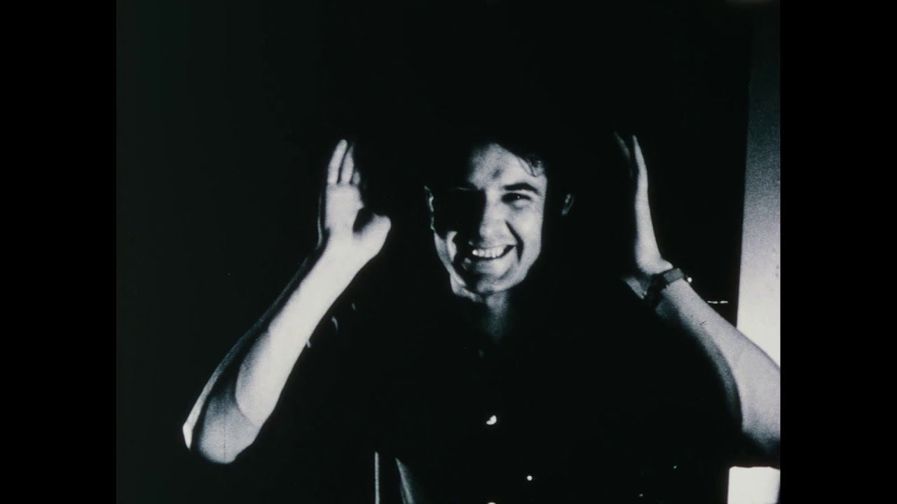 Reminiscences of a Journey to Lithuania - Jonas Mekas (Trailer)