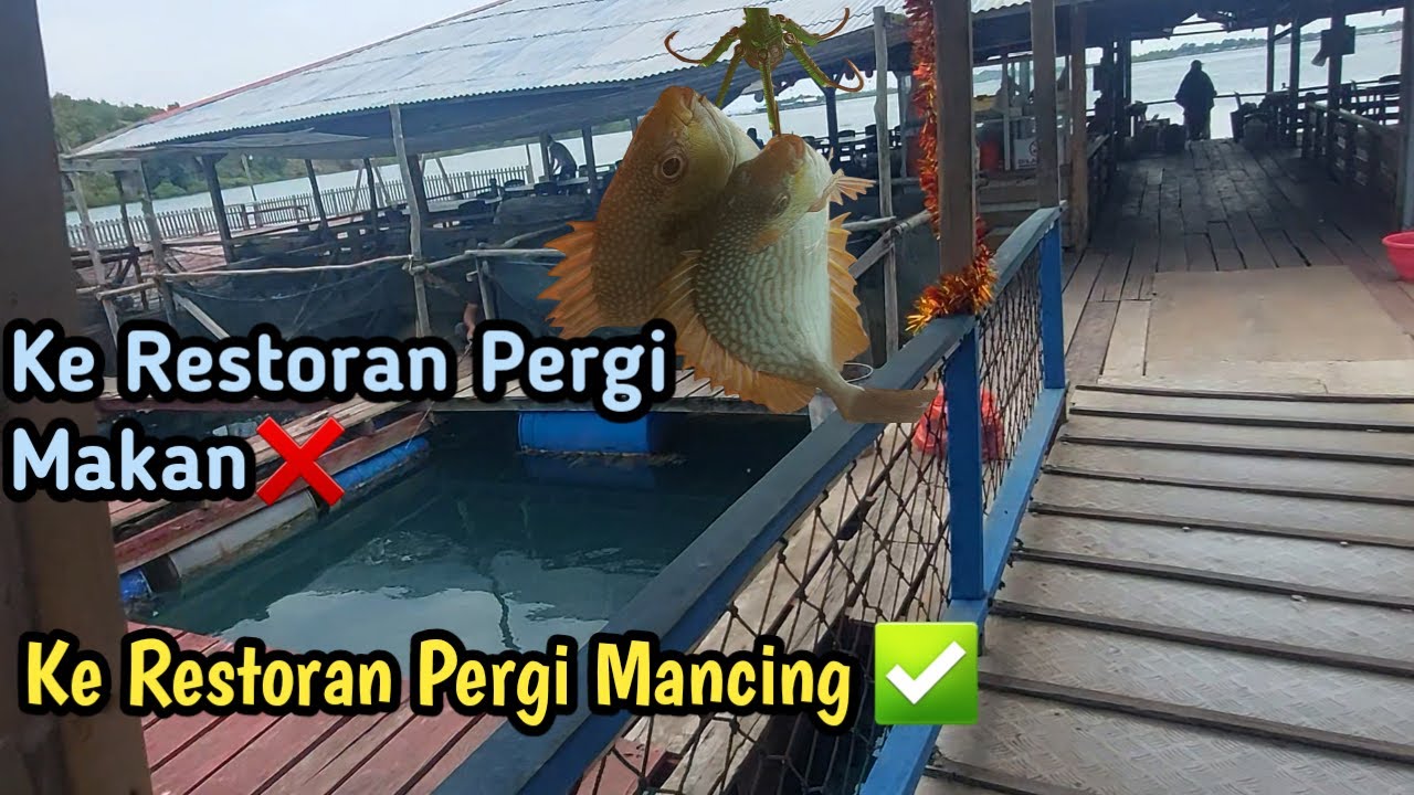 Mancing Baronang Di Seafood Restaurant