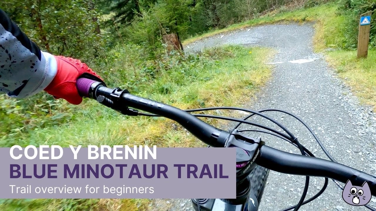Coed-Y-Brenin Blue Minotaur MTB Trail POV