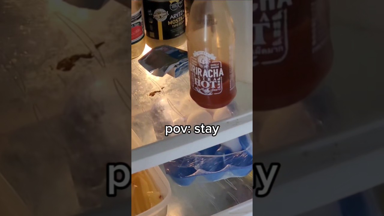 pov: stay #straykids #kpop #stay