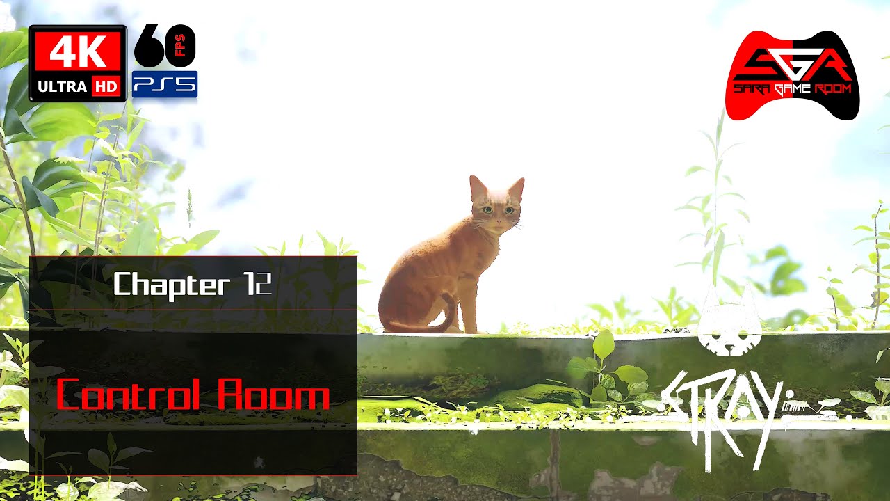Stray PS5 Gameplay [100% All Collectibles and Trophies]- Chapter 12 Control Room [4K UHD 60fps]
