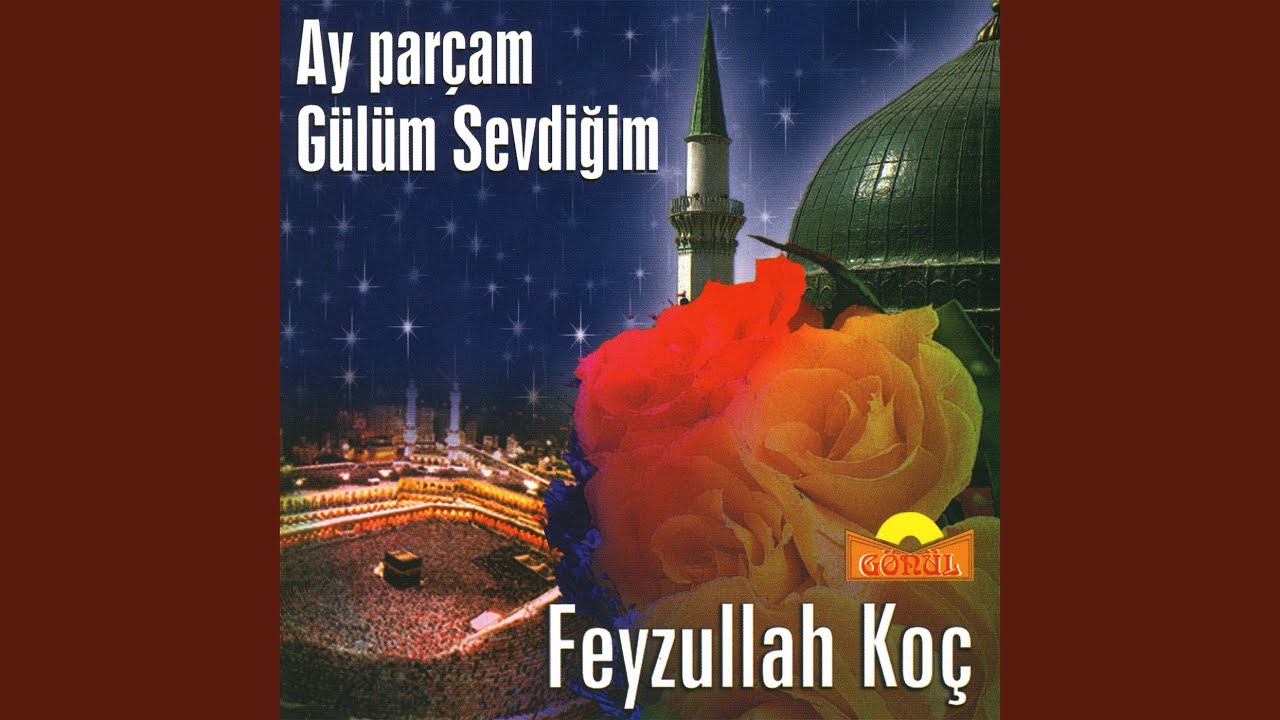 Vurulmuşum
