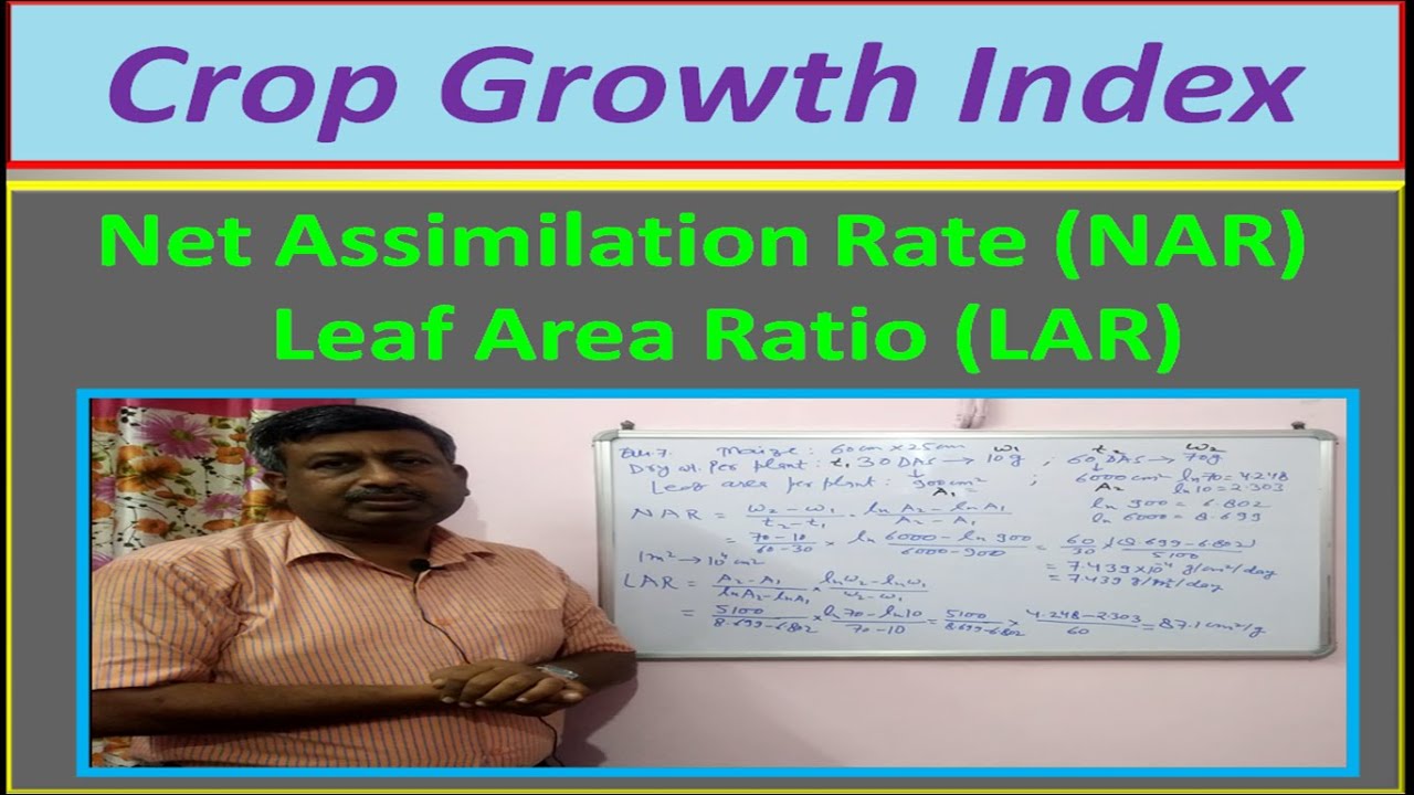 Crop Growth Index: Net Assimilation Rate (NAR) and Leaf Area Ratio (LAR)