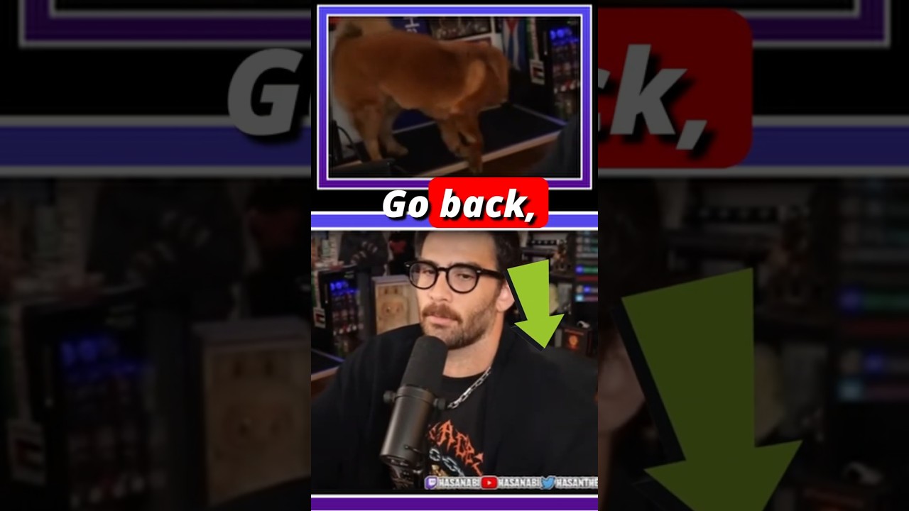 Did this twitch streamer shock their dog live?