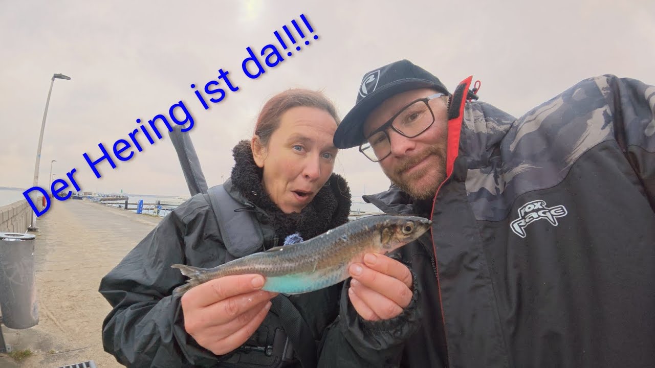 Heringsangeln in Stralsund 