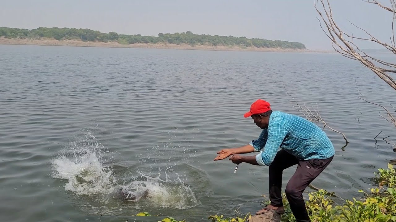 Amazing Fishing 🎣 BiG SIZE ROHU Fishing Fisher Man Catching Single Hook And Krishna River