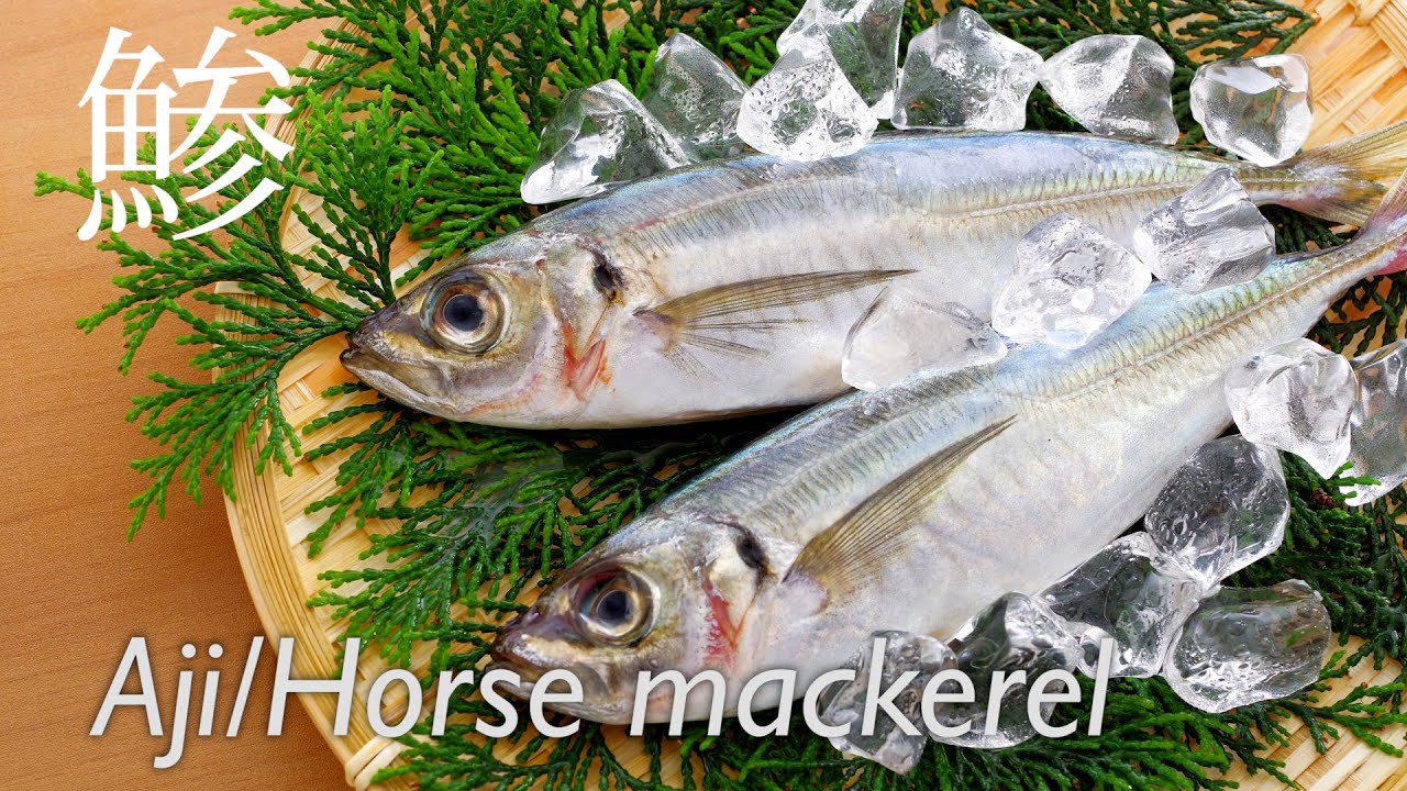 Aji (Horse Mackerel) for Nigiri (1/3): How master chefs store & clean Aji?