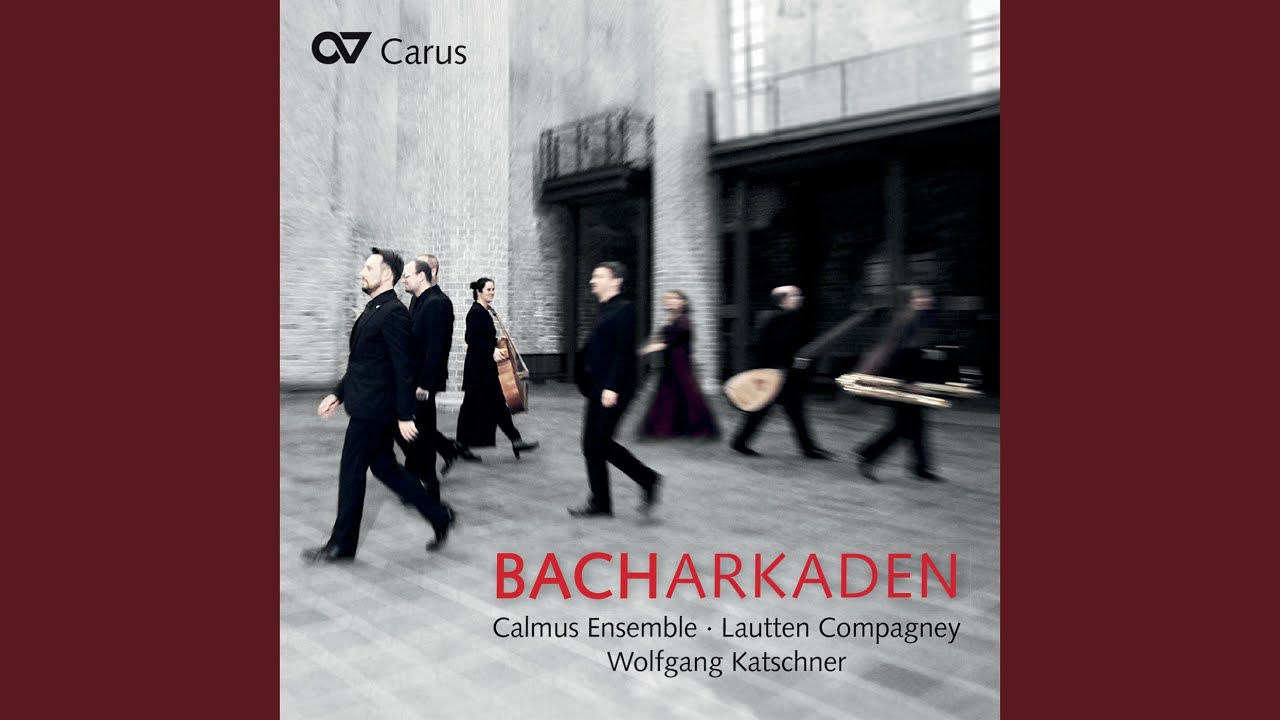 J.S. Bach: Singet dem Herrn ein neues Lied Motet, BWV 225: II. Wie sich ein Vat'r erbarmet -...