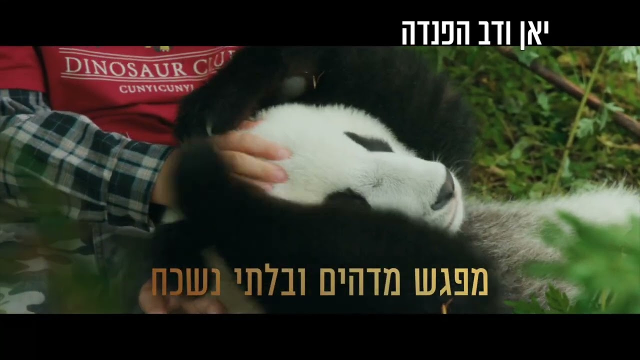 יאן ודב הפנדה בקולנוע