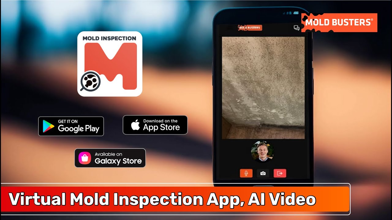 Virtual Mold Inspections by Mold Busters
