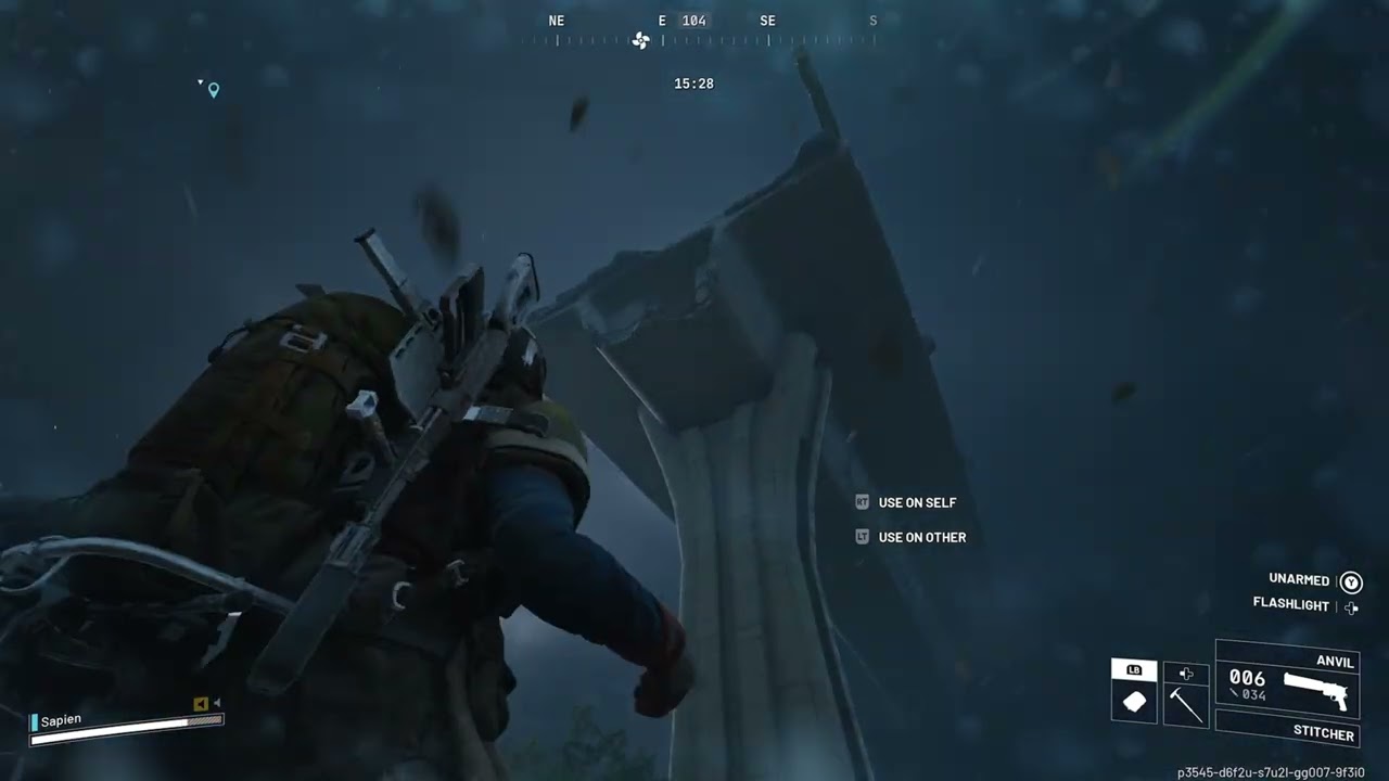 BRAVING THE STORM