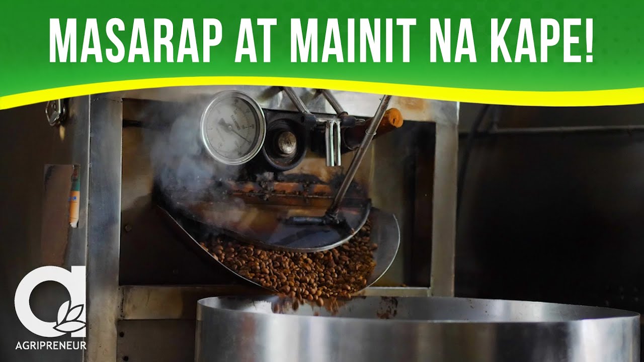 Pag-proseso ng Coffee Beans Mula sa Kape Danlayan