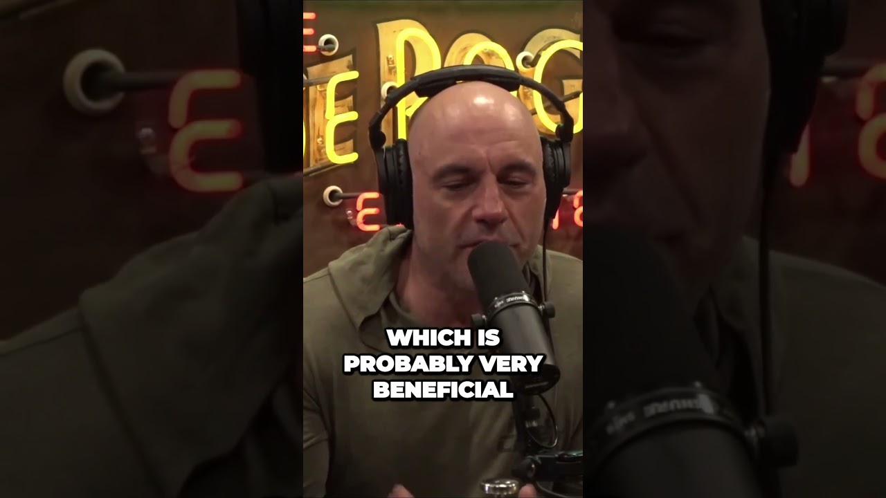 Weed & Disciplined People - Joe Rogan