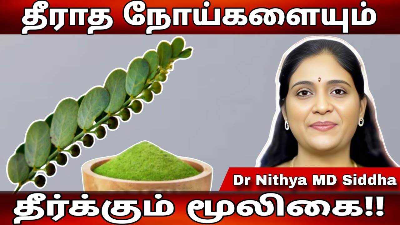 தீராத நோய்களையும் எளிதாக குணப்படுத்தும் கீழாநெல்லி.. 